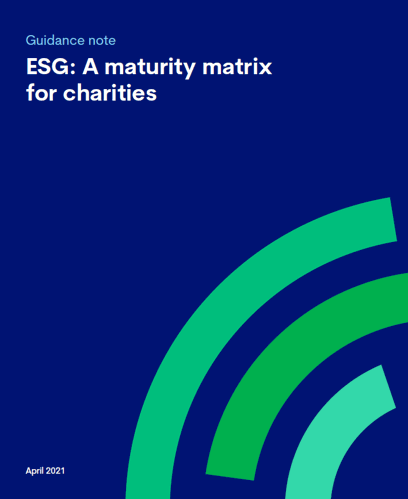 ESG: A maturity matrix for charities